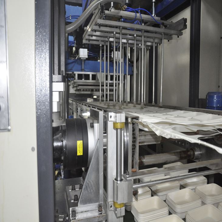 Pet Sheet Thermoforming Machine